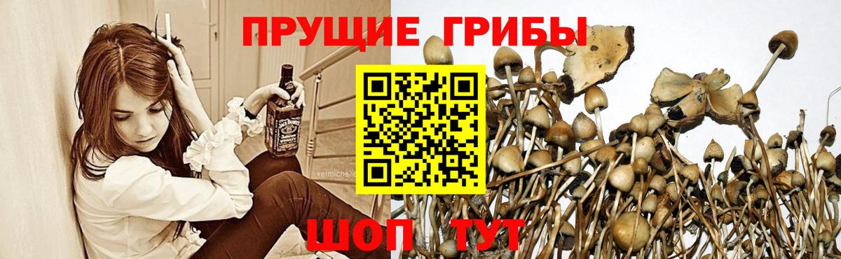 Южноуральск  Галлюциногенные грибы мицелий  хочу   Вход с VPN 